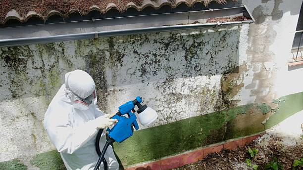 Top rated local Mold Removal specialists in Unionville, NC